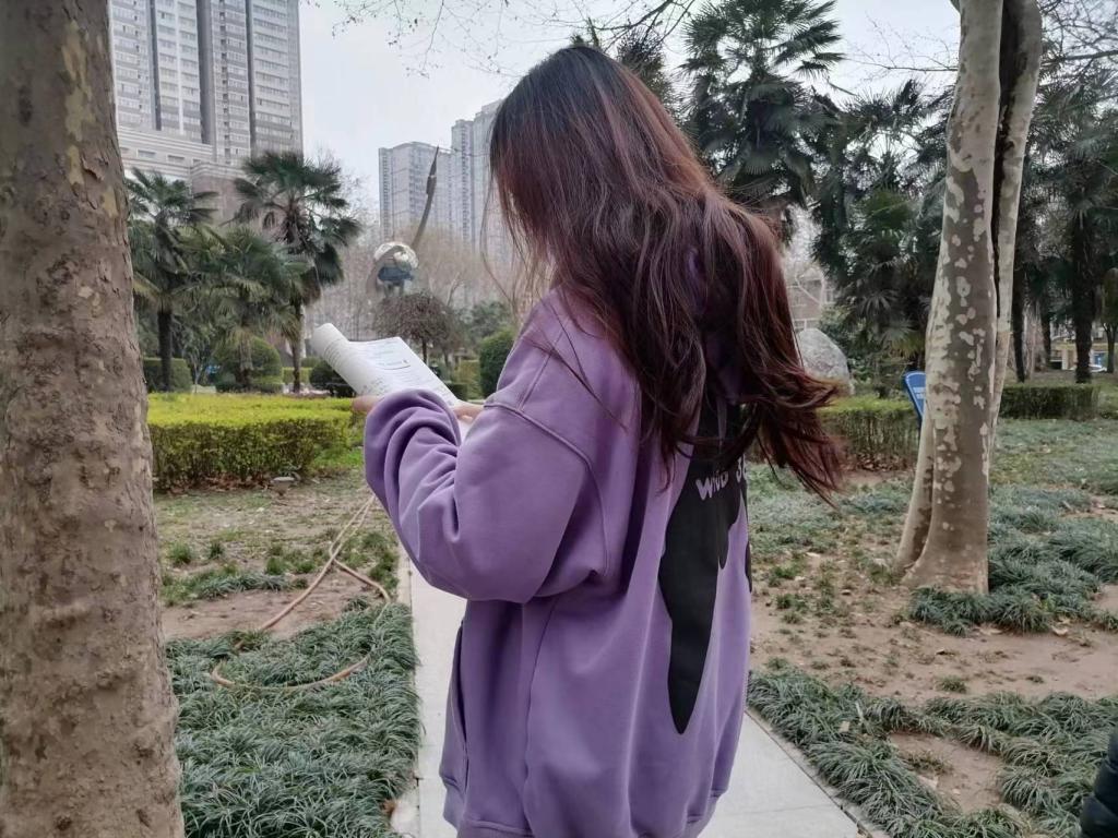 图示, 示意图 中度可信度描述已自动生成:ver1 图示, 示意图 中度可信度描述已自动生成:ver1